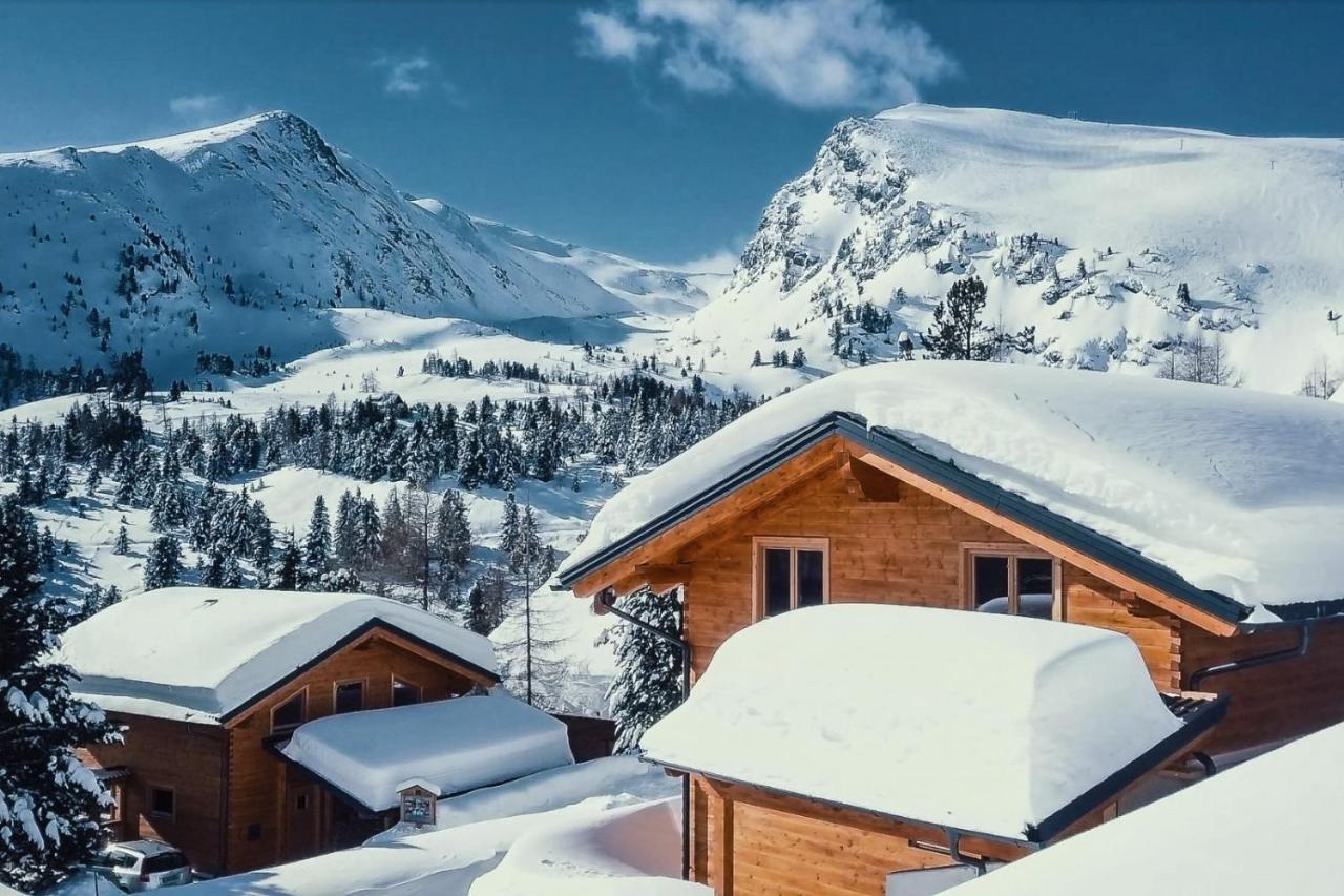 Heidi Chalets Falkert Heidialm - Chalets Bergwinter Patergassen Екстер'єр фото